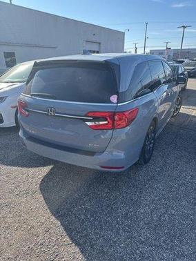2023 Honda Odyssey Elite