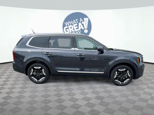 Panthera Metal 2025 Kia Telluride S