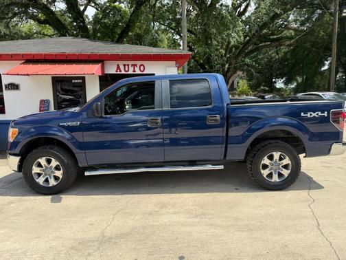 Blue 2012 Ford F-150 Platinum