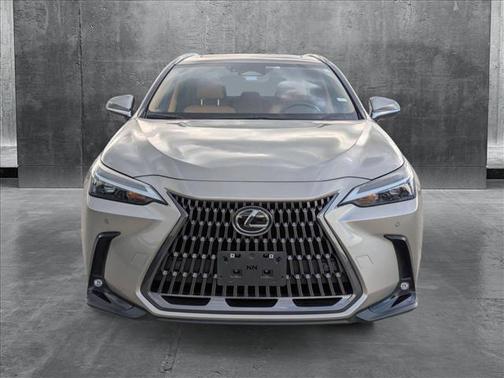2024 Lexus NX 250 Premium