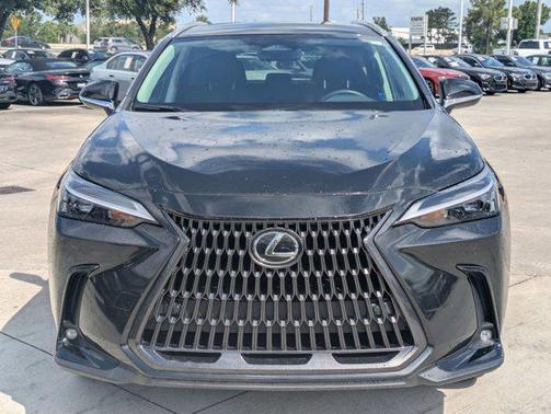 2025 Lexus NX 250 Base