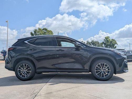2025 Lexus NX 250 Base