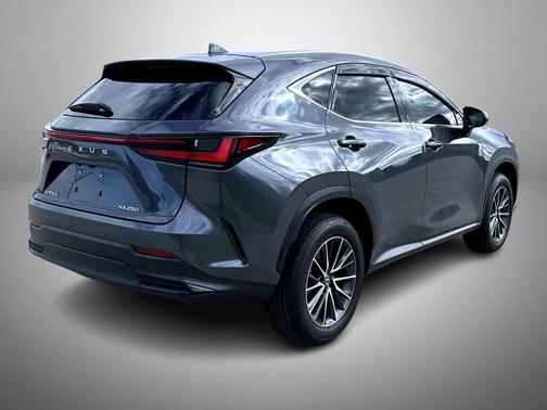 2025 Lexus NX 250 Base