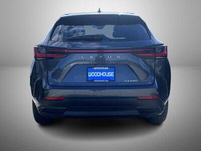 2025 Lexus NX 250 Base