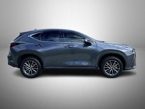 2025 Lexus NX 250 Base