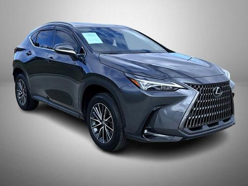 2025 Lexus NX 250 Base