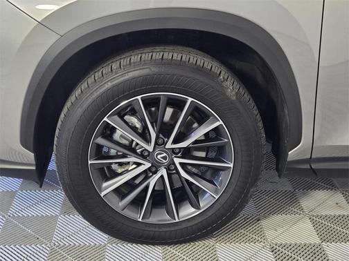 2025 Lexus NX 250 Premium
