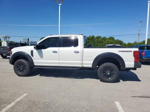 White Metallic 2022 Ford F-250 Platinum