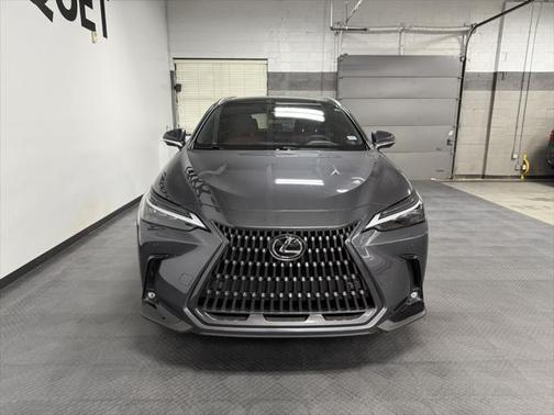 2024 Lexus NX 350h Luxury