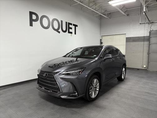 2024 Lexus NX 350h Luxury