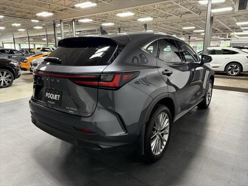 2024 Lexus NX 350h Luxury