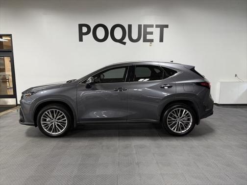 2024 Lexus NX 350h Luxury