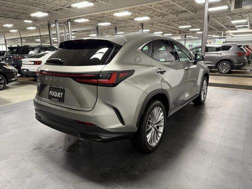 2025 Lexus NX 350h Luxury