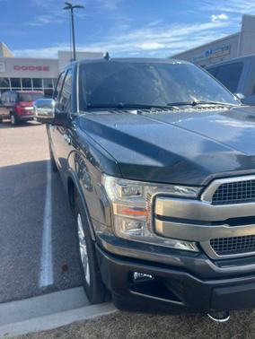 Magnetic Metallic 2019 Ford F-150 Platinum