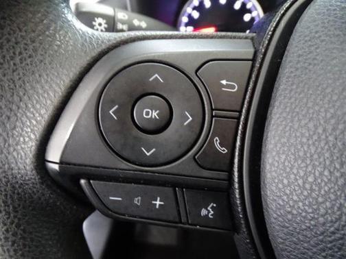 Ruby Flare Pearl 2019 Toyota RAV4 LE