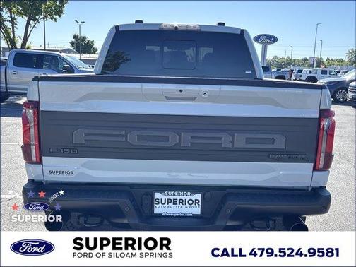 Avalanche 2024 Ford F-150 Raptor
