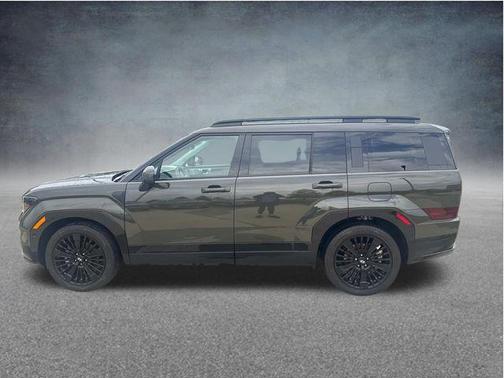 Rockwood Green 2025 Hyundai SANTA FE HEV Calligraphy