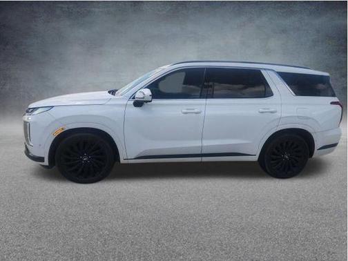 Hyper White 2024 Hyundai PALISADE Calligraphy Night Edition