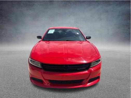 Torred Clearcoat 2023 Dodge Charger SXT