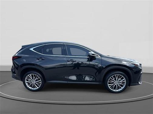 2025 Lexus NX 350h Premium