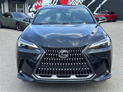 2025 Lexus NX 350h Premium