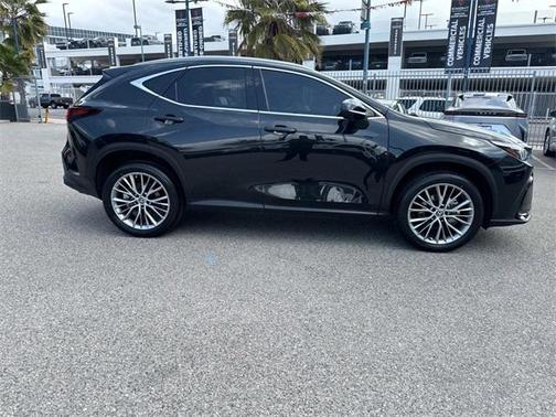 2025 Lexus NX 350h Premium