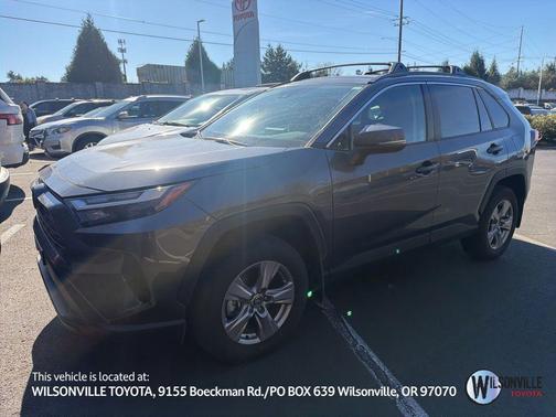 Magnetic Gray Metallic 2025 Toyota RAV4 XLE