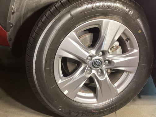 Ruby Flare Pearl 2023 Toyota RAV4 XLE