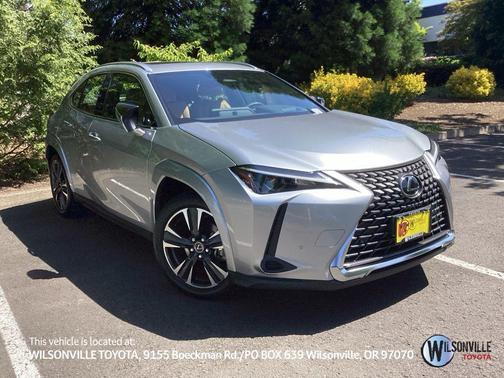 Iridium 2025 Lexus UX 300h Premium