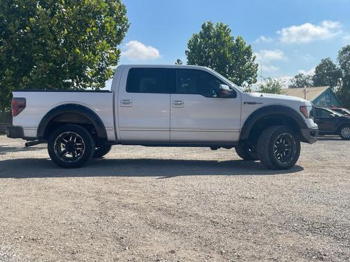 2010 Ford F-150 Platinum