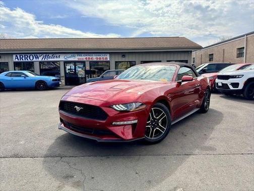 Race Red 2019 Ford Mustang EcoBoost Convertible