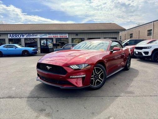2019 Ford Mustang EcoBoost Convertible