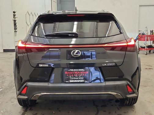 2020 Lexus UX 250h F Sport