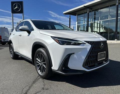 2024 Lexus NX 350 Premium