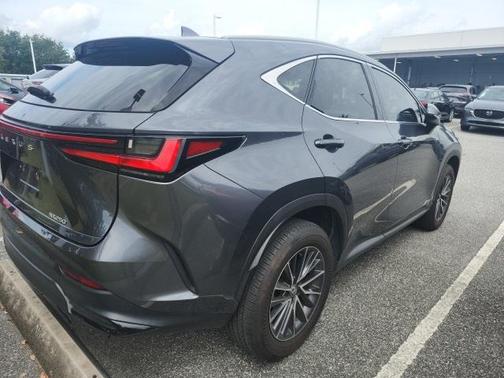 2024 Lexus NX 250 Premium