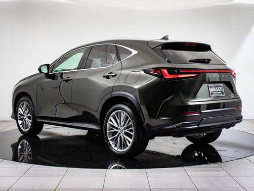 2025 Lexus NX 350h Premium