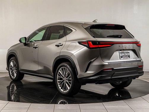 2025 Lexus NX 350h Premium