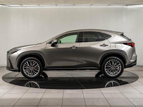 2025 Lexus NX 350h Premium