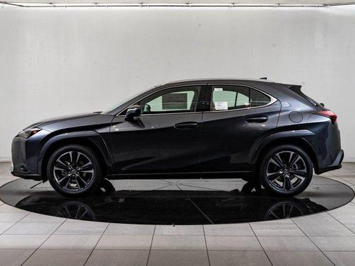 Cloudburst Gray 2026 Lexus UX 300h Premium