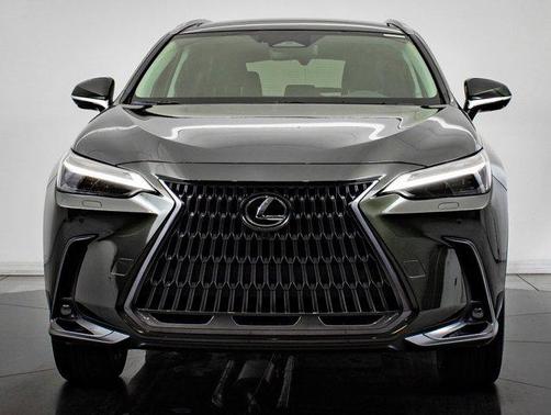 2025 Lexus NX 350 Luxury