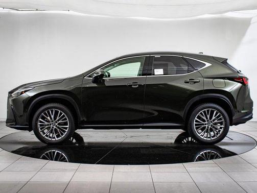 2025 Lexus NX 350 Luxury