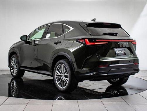 2025 Lexus NX 350 Luxury