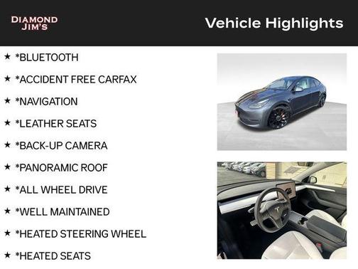 2022 Tesla Model Y Performance Dual Motor All-Wheel Drive