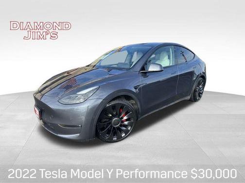 2022 Tesla Model Y Performance Dual Motor All-Wheel Drive