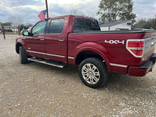 2013 Ford F-150 Platinum