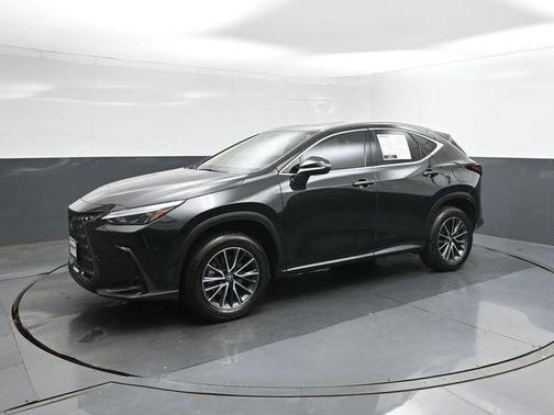 2025 Lexus NX 250 Premium