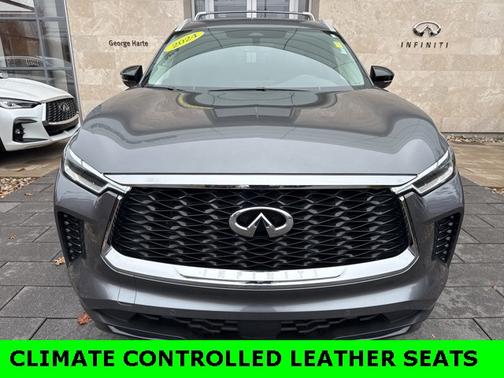 2024 INFINITI QX60 LUXE