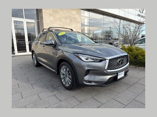 Graphite Shadow 2023 INFINITI QX50 LUXE
