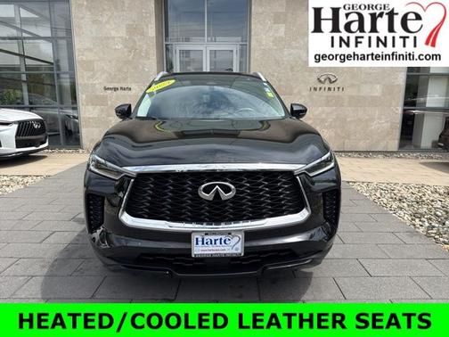 Mineral Black 2023 INFINITI QX60 LUXE