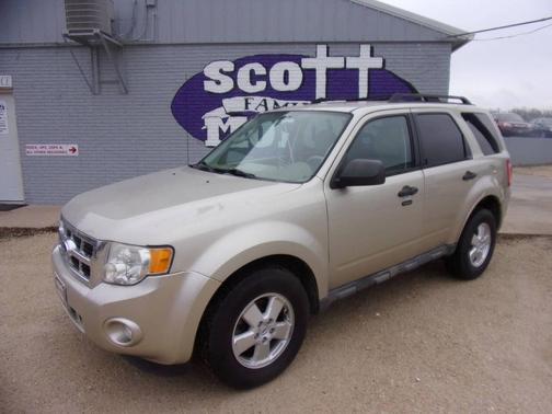Champagne 2011 Ford Escape XLT
